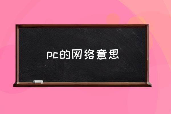 pc的网络意思