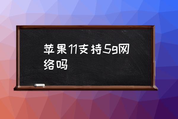 苹果11支持5g网络吗