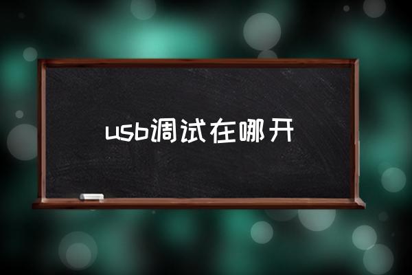 usb调试在哪开