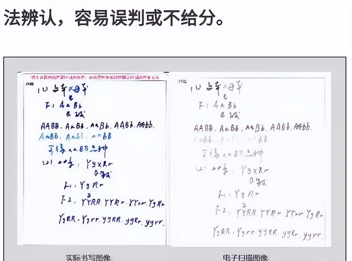 考生高考使用不同字体(考生高考使用不同字体可以吗)