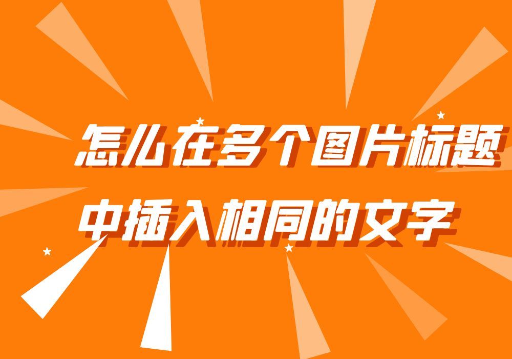 怎么在多个图片标题中插入相同的文字(同一图片加不同文字)