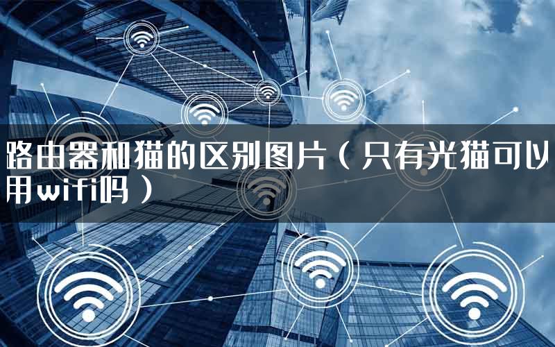 路由器和猫的区别图片（只有光猫可以用wifi吗）