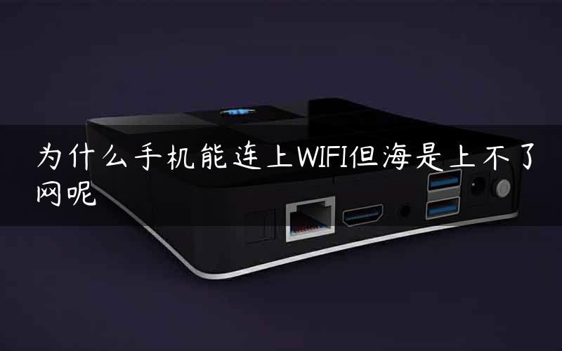 为什么手机能连上WIFI但海是上不了网呢