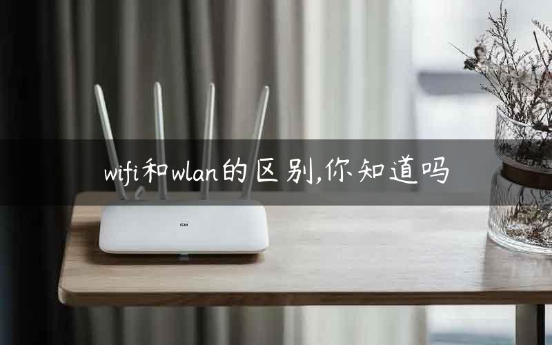 wifi和wlan的区别,你知道吗