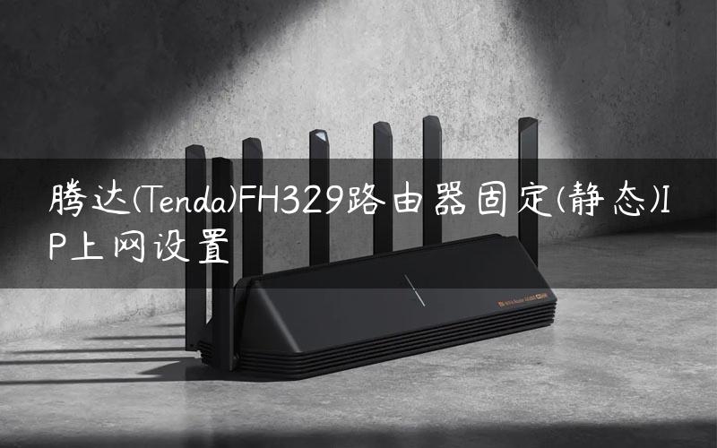 腾达(Tenda)FH329路由器固定(静态)IP上网设置