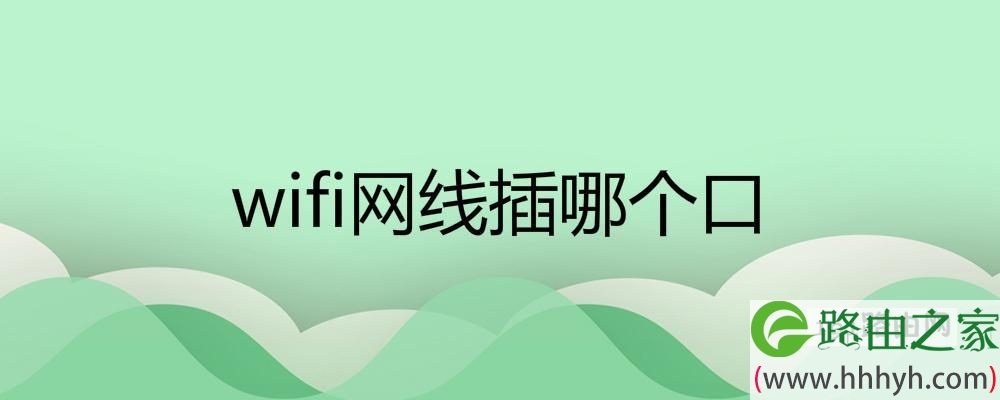 wifi网线插哪个口