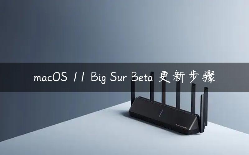 macOS 11 Big Sur Beta 更新步骤