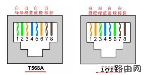 如何正确的查看网线线序？