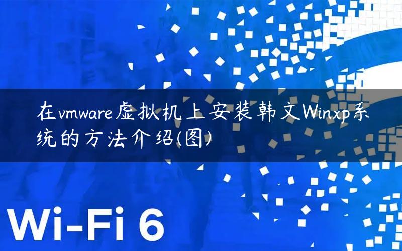 在vmware虚拟机上安装韩文Winxp系统的方法介绍(图)