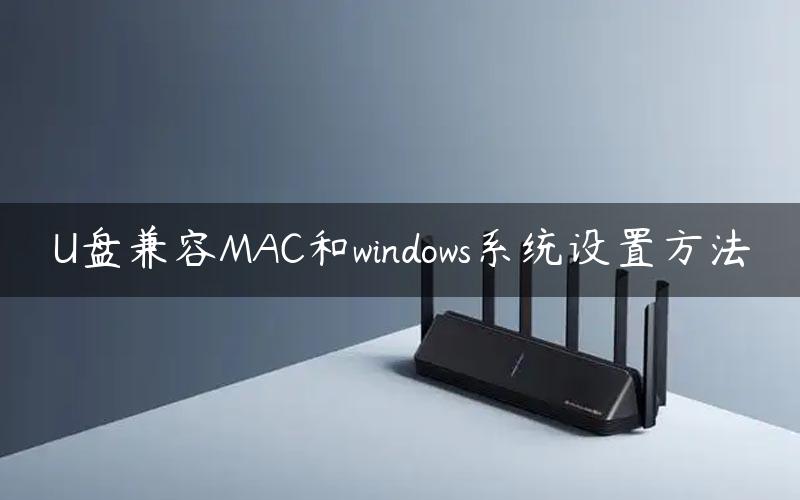 U盘兼容MAC和windows系统设置方法