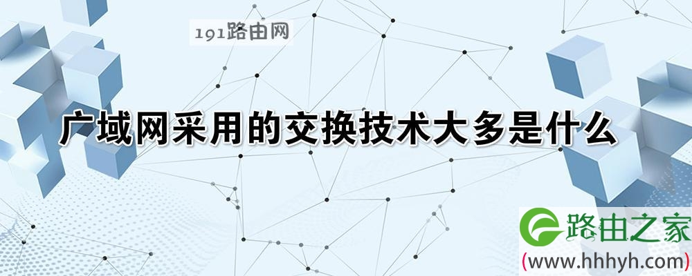 广域网采用的交换技术大多是什么