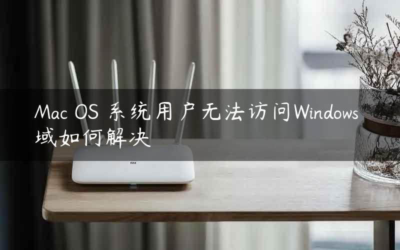 Mac OS 系统用户无法访问Windows 域如何解决