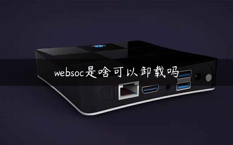 websoc是啥可以卸载吗