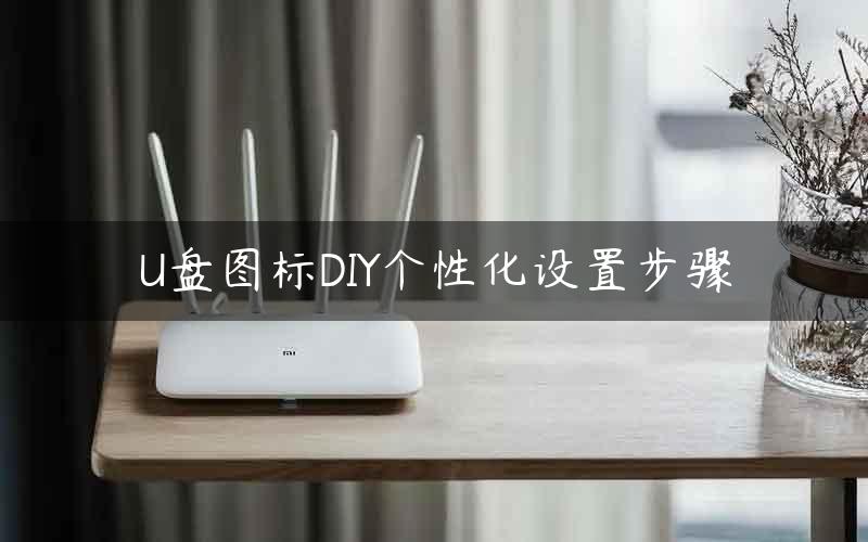 U盘图标DIY个性化设置步骤