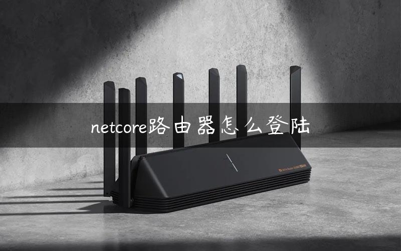 netcore路由器怎么登陆