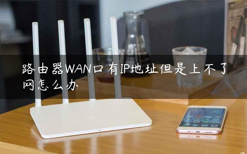 路由器WAN口有IP地址但是上不了网怎么办