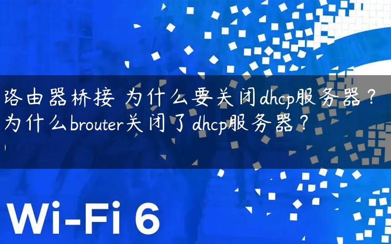 路由器桥接 为什么要关闭dhcp服务器？(为什么brouter关闭了dhcp服务器？)