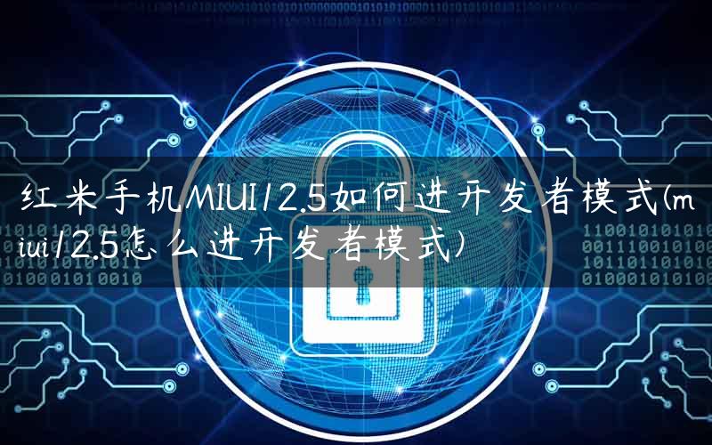 红米手机MIUI12.5如何进开发者模式(miui12.5怎么进开发者模式)