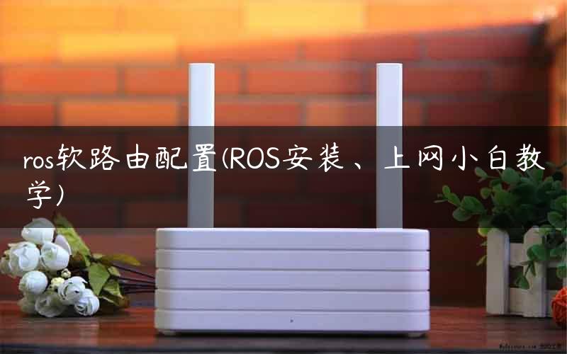 ros软路由配置(ROS安装、上网小白教学)