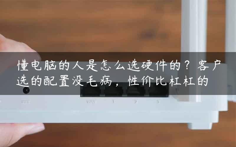 懂电脑的人是怎么选硬件的？客户选的配置没毛病，性价比杠杠的