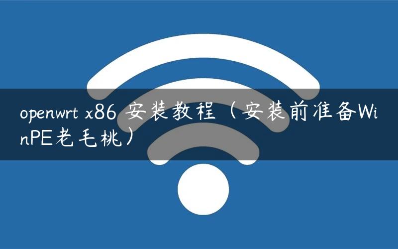 openwrt x86 安装教程（安装前准备WinPE老毛桃）