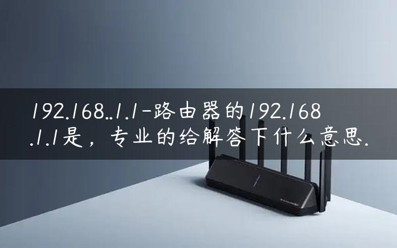 192.168..1.1-路由器的192.168.1.1是，专业的给解答下什么意思.