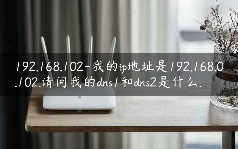 192.168.102-我的ip地址是192.168.0.102.请问我的dns1和dns2是什么.