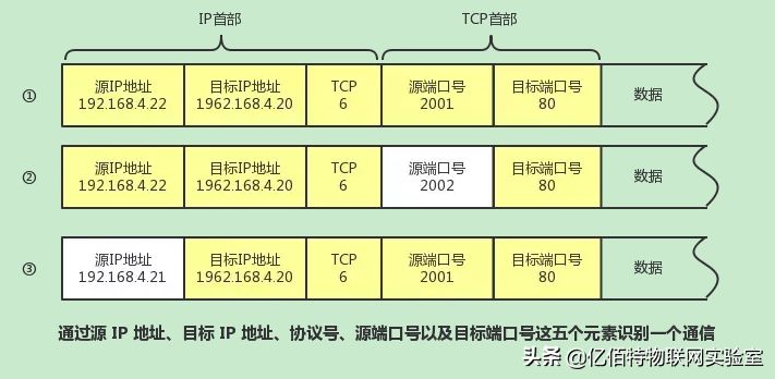 关于计算机网络的知识(关于计算机网络的知识有哪些)