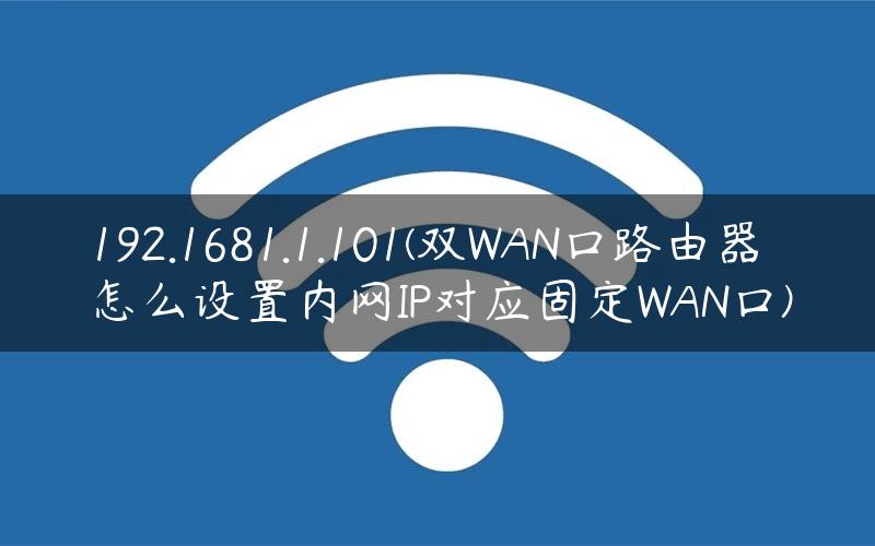 192.1681.1.101(双WAN口路由器怎么设置内网IP对应固定WAN口)